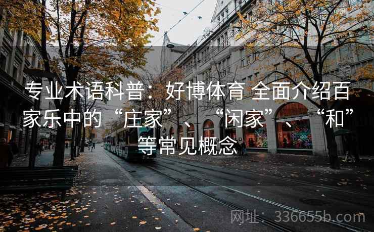 专业术语科普：好博体育 全面介绍百家乐中的“庄家”、“闲家”、“和”等常见概念