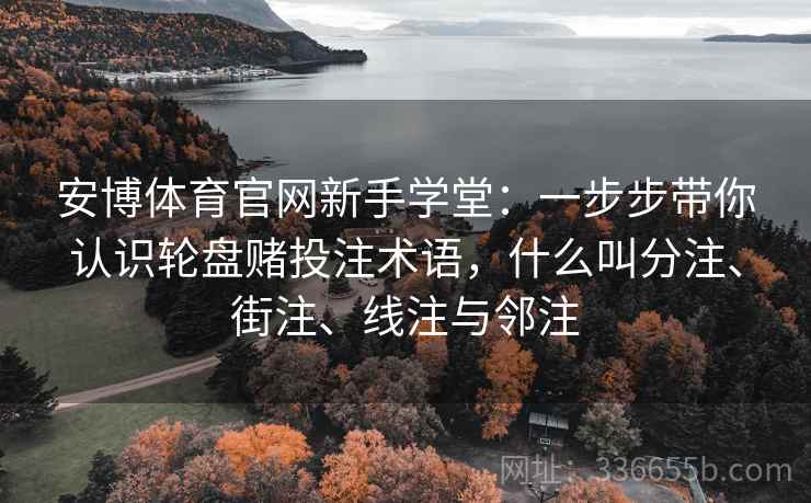 安博体育官网新手学堂：一步步带你认识轮盘赌投注术语，什么叫分注、街注、线注与邻注