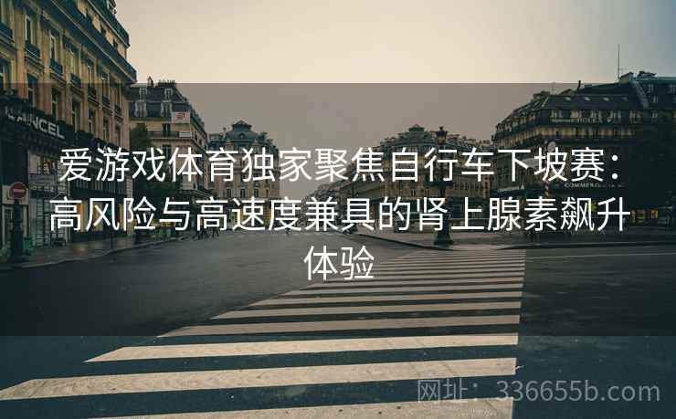 爱游戏体育独家聚焦自行车下坡赛：高风险与高速度兼具的肾上腺素飙升体验