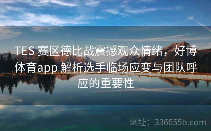 TES 赛区德比战震撼观众情绪，好博体育app 解析选手临场应变与团队呼应的重要性